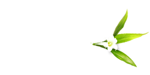 Gallery Gallery