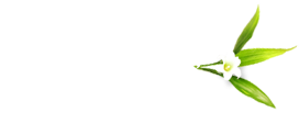 Packages Packages